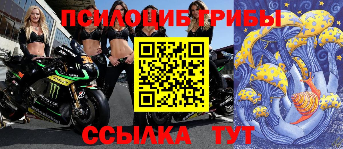 Галлюциногенные грибы Psilocybe Альметьевск