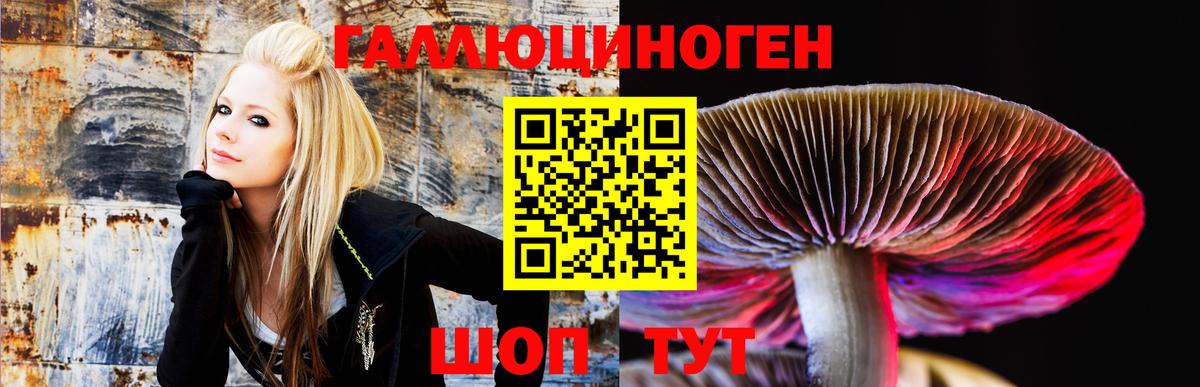 Альметьевск  Псилоцибиновые грибы MAGIC MUSHROOMS  Вход с VPN  наркошоп  Галлюциногенные грибы прущие грибы 